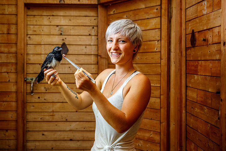 Stress bei den Vogelrettern: Laura Hannß (25) hilft einer kleinen Elster über die heißen Tage.