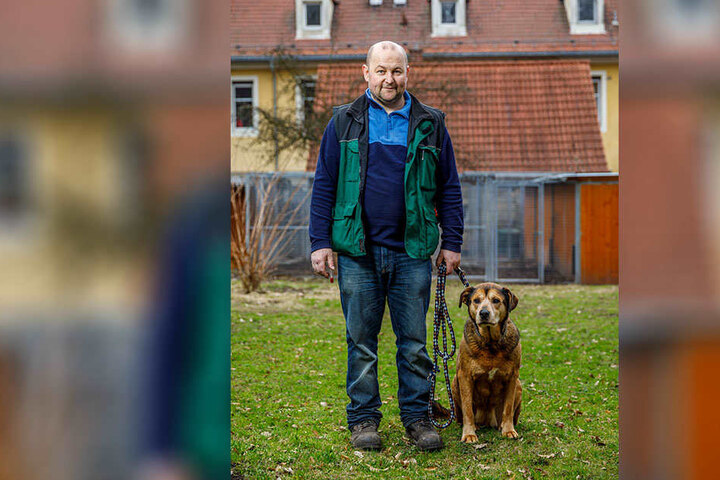 Hundebetreuer Rico
Klann hat einen guten
Draht zu Bori (10).
Wird das Sorgenkind
nicht bald vermittelt,
könnte das Tierheim
ihr Zuhause auf Lebenszeit
werden.