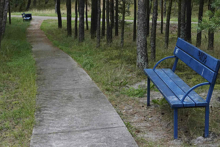 Ein schöner Park, doch definitiv nicht der Maxim-Gorki-Park.