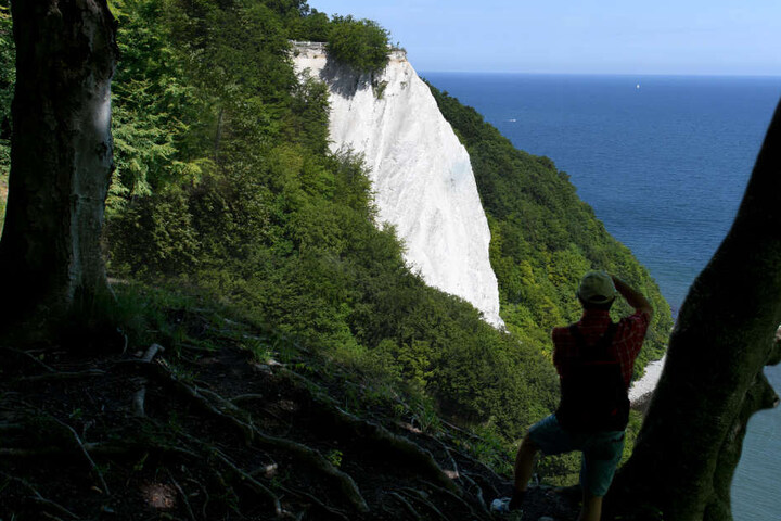 Jedes Jahr besuchen zwischen 500.000 und 800.000 Menschen die Kreidefelsen auf Rügen.
