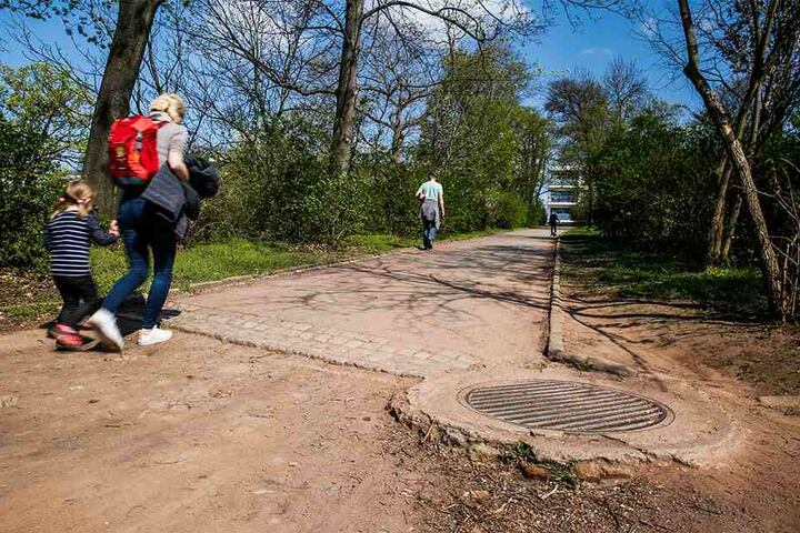 Im Alaunpark sollen Wege saniert werden. Das Geld dafür macht der Stadtbezirksbeirat locker.