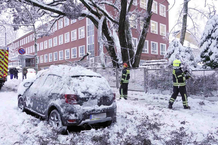Auf der Heinrich- Beck- Strasse stürzte ein etwa 10 Meter langer Ast herunter und begrub ein Auto unter sich.