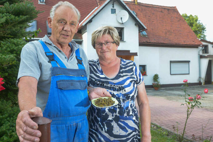 Hans-Günther (69) und Roswita Haller (67) vor ihrem Haus in Dürrhennersdorf. Auf dem Teller tote Wespen.
