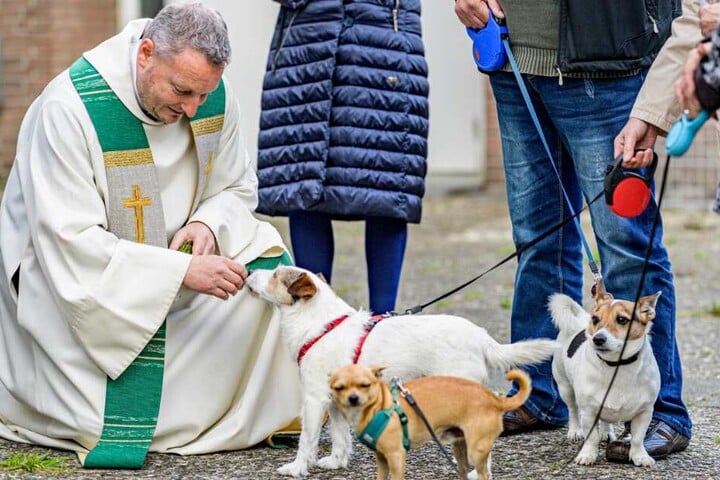 Pastor Alexander Görke, katholischer Pastor der Kirche in Jenfeld, segnet Hunde vor dem Kircheneingang.
