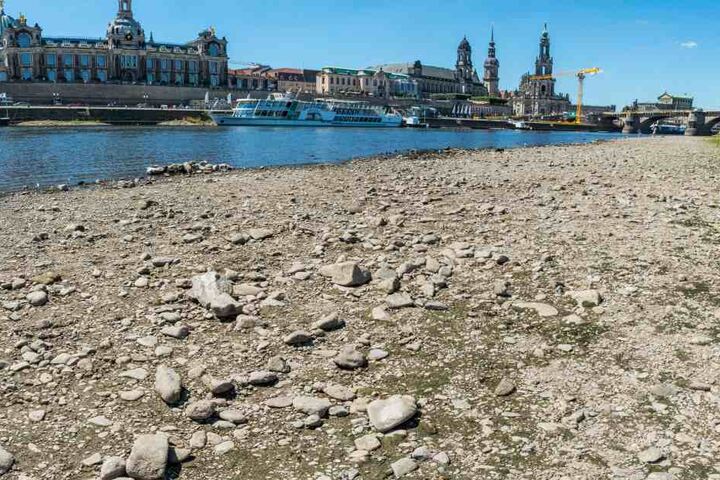 So sah die Elbe im Juli aus.