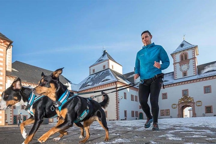 Sascha Winkler (30) mit seinen Hunden Elinor (2) und Bella (6, v.l.) am Schloss Augustusburg, dem Ziel des Canicross-Berglaufs.