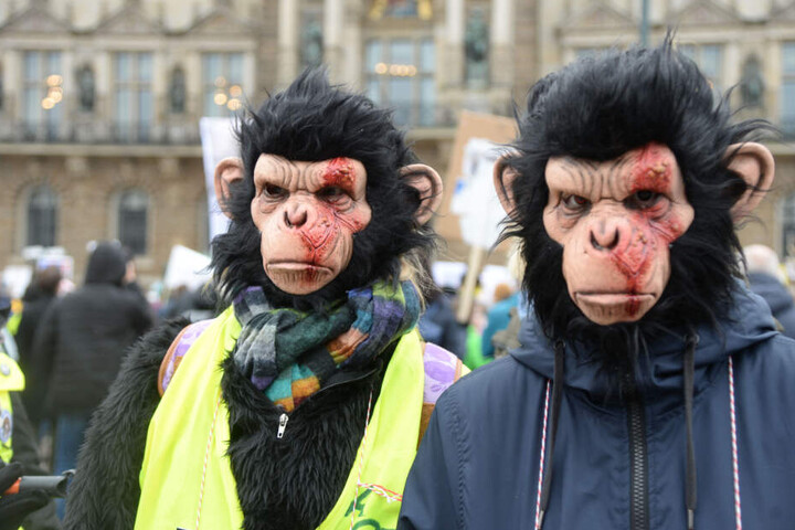 Zwei Teilnehmer der Demo tragen Affenmasken.