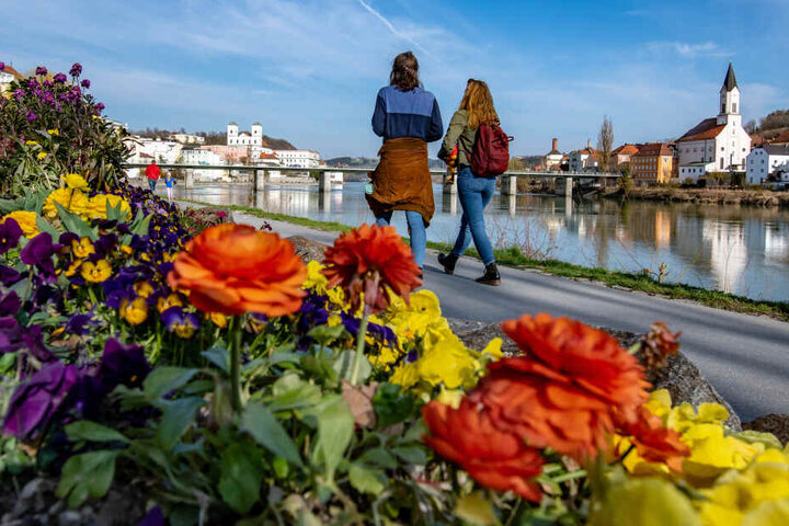 Spaziergänger gehen am Innufer in Passau an blühenden Blumen vorbei.