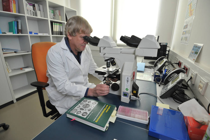 Umweltmediziner Dr. Mario Hopf (57) bestimmt unter dem Mikroskop mit
400facher Vergrößerung die Pollenarten.