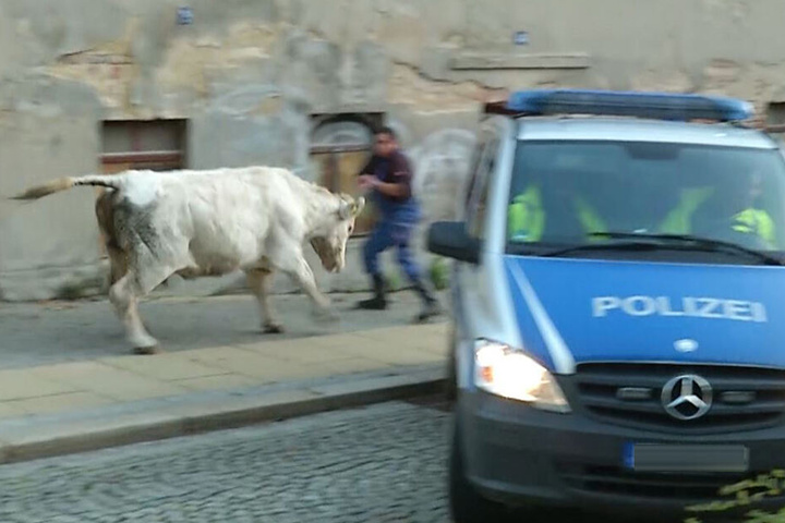 Platz da...
