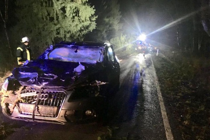 Der Fahrer des Audi bemerkte einen umgestürzten Baum zu spät, er wurde glücklicherweise nicht verletzt.