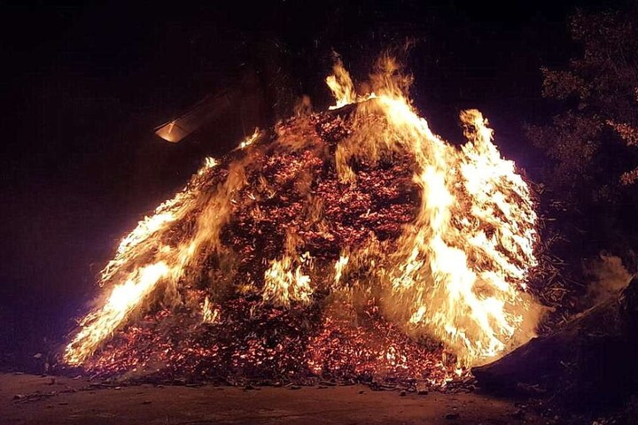Etwa 250 Kubikmeter geschreddertes Holz standen in Flammen.
