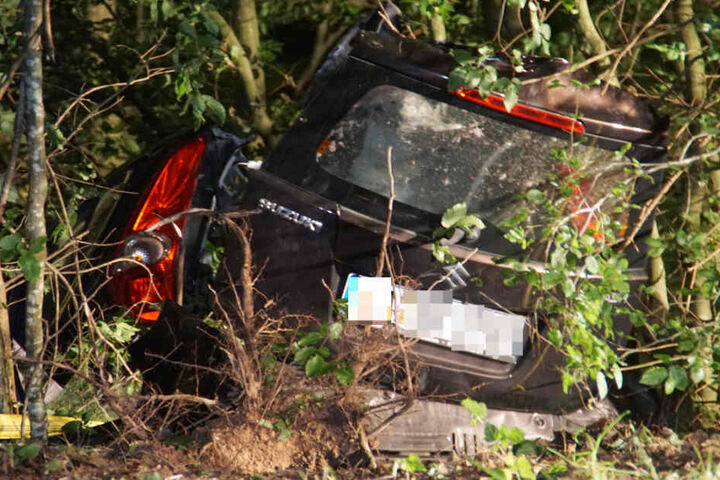 Der Suzuki kam in einem Wald zum Stehen.