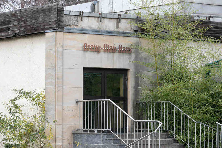 Auch der dringend notwendige Neubau des Orang-Utan-Hauses soll nun schnell kommen...