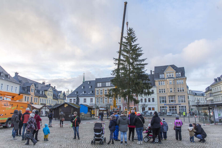 Der Weihnachtsbaum wurde am Dienstagnachmittag aufgestellt.