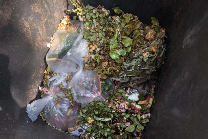 Chemnitzer Schmuddel-Müll: Auch Plastetüten liegen in der Biotonne.
