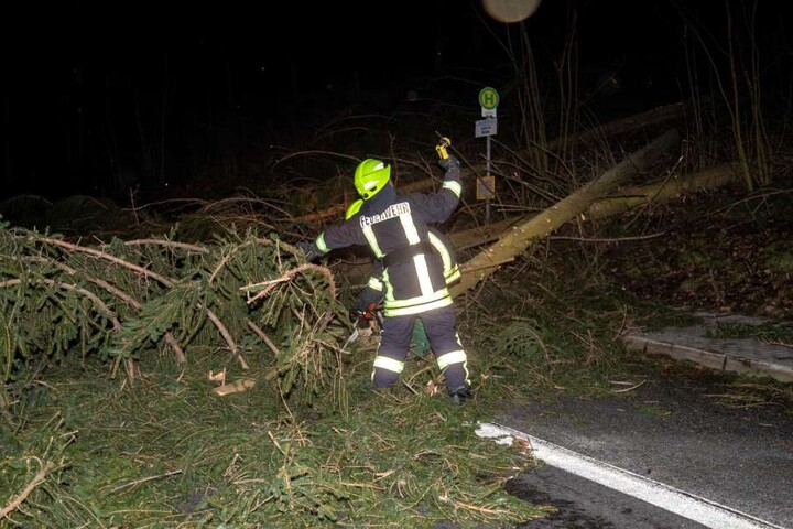 Ein großer Baum blockiert die B98 zwischen Burkau und Rammenau.