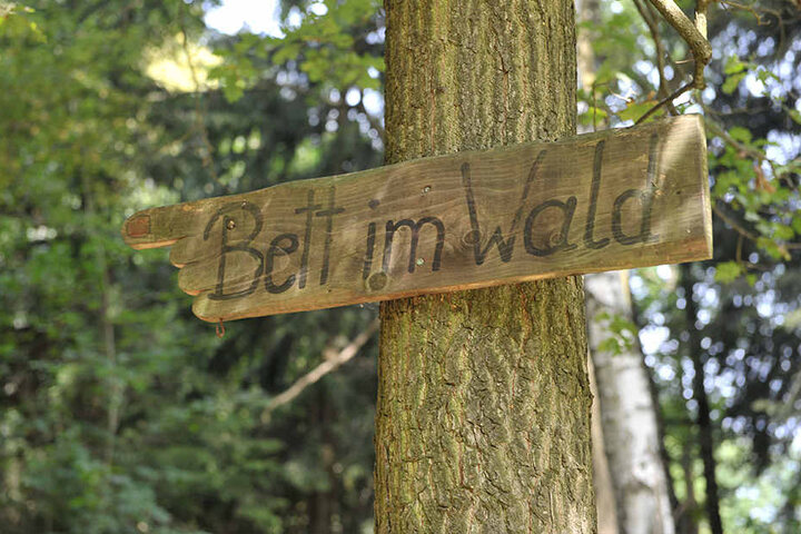 Hier gehts zum Bett im Wald.