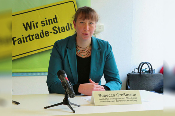 Tierärztin Rebecca Großmann vom Institut für Tierhygiene und Öffentliches Veterinärwesen untersucht die Katzen.