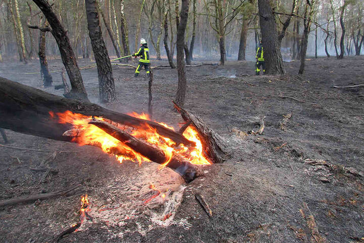 Durch den starken Wind wurden die Flammen neu entfacht.