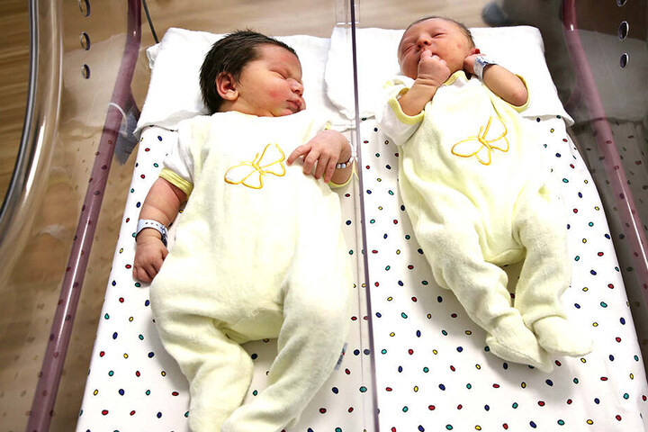 Die Neugeborenen Vincent-Martin und Emil-Theodor liegen nebeneinander in einem Krankenbett.