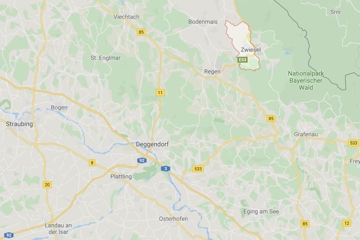 Meldung eines Autofahrers: Streift etwa eine gefährliche Großkatze durch den Bayerischen Wald?