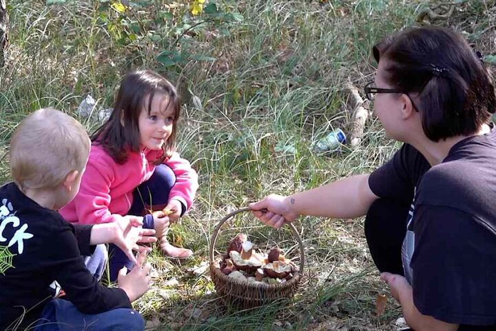 In den Wäldern der Colbitz-Letzlinger Heide suchten derweil Hunderte Menschen nach Pilzen.