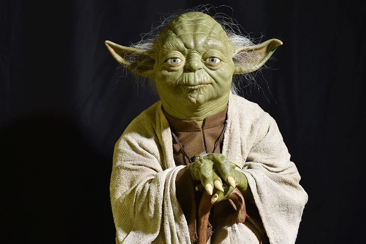 Yoda aus "Star Wars" diente als Namensgeber.