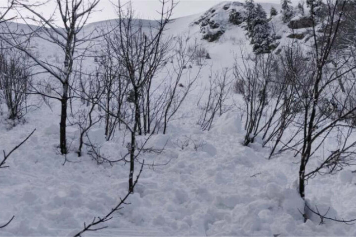 Vor wenigen Tagen war ein Mann im Schwarzwald in eine Lawine geraten.