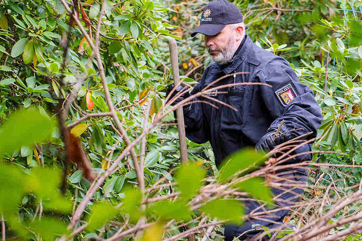 Mit Schaufeln und Spürhunden durchkämmte die Mordkommission Itzehoe am Dienstag den Bereich rund um das Grundstück.
