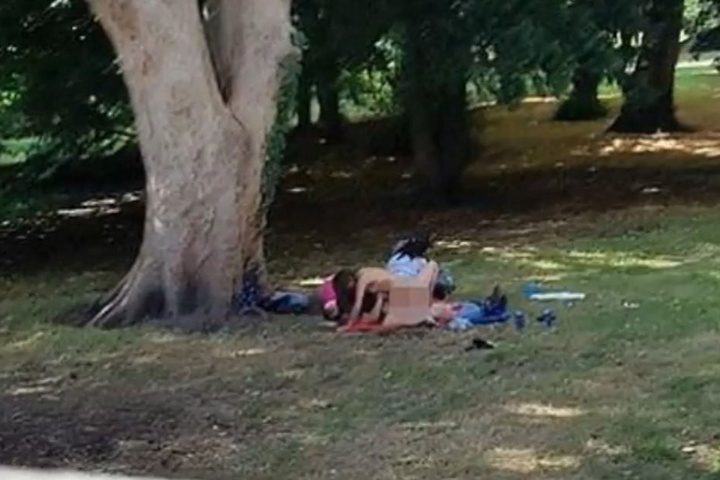 Am helllichten Tag treiben es die Pärchen in dem Park.