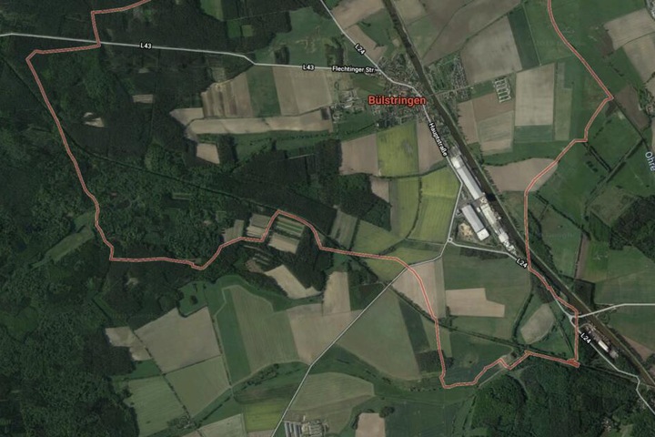 Der Regionalzug war nahe der Ortschaft Bülstringen in einem Waldstück mit dem umgestürzten Baum kollidiert.