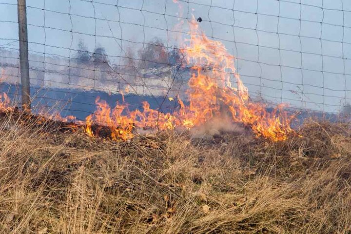 Etwa ein Hektar Feld ging in Flammen auf.