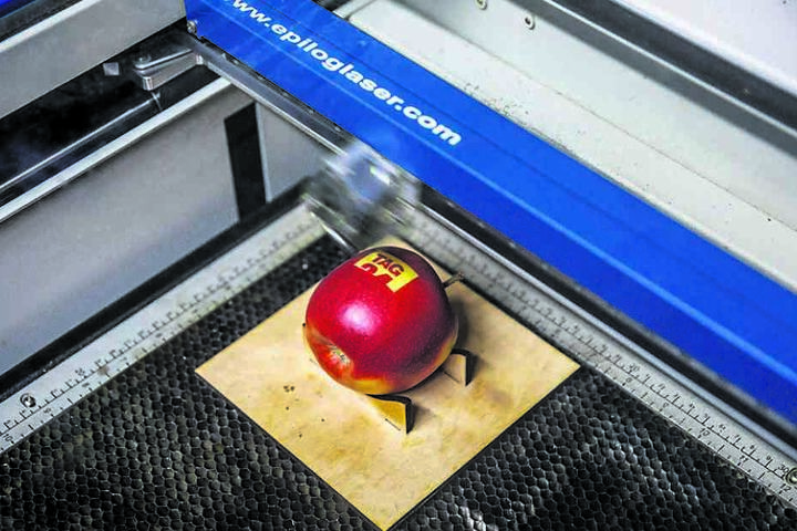 Bei "Werker Werbung" können Kunden auch ihr Logo in einen frischen Apfel lasern lassen.