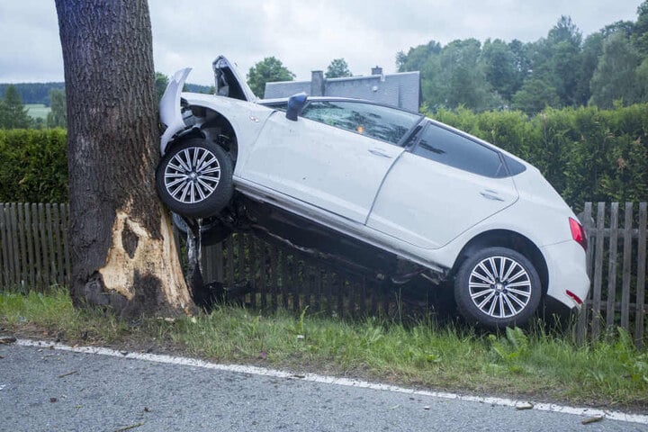Der Seat war frontal in den Baum gekracht.