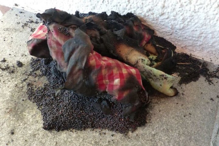 Ein überhitztes Körnerkissen hat den folgenschweren Brand ausgelöst.