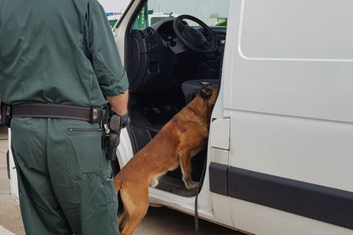 Auch Spürhunde waren im Einsatz.