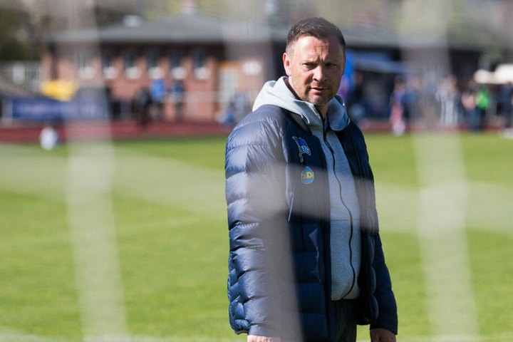 Pal Dardai ist im Sommer nicht mehr Trainer von Hertha BSC.