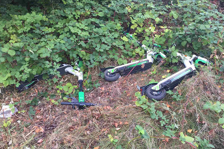 Am Plauenschen Ring wurden die Scooter sogar achtlos ins Gebüsch geschmissen.