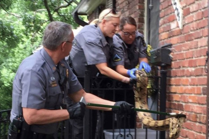 Die Polizei griff beherzt ein.