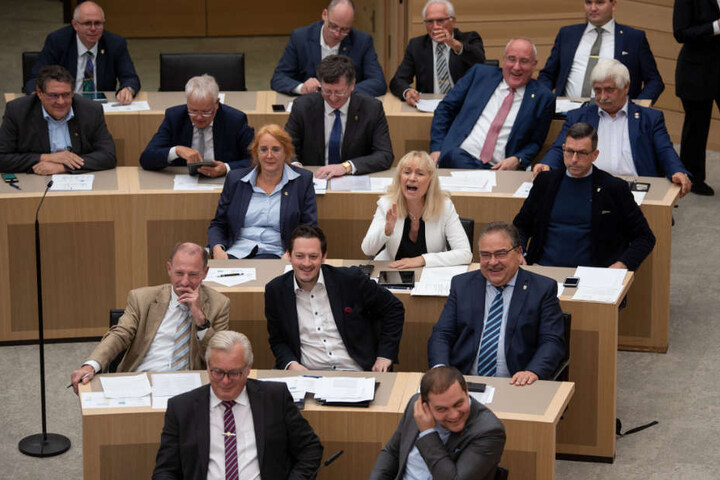 Fraktion der AfD am Mittwoch im Landtag von Baden-Württemberg.