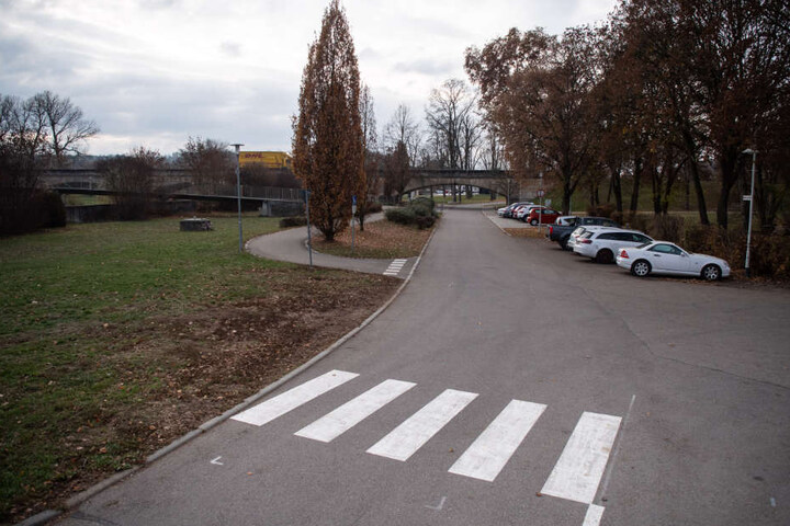 Nur ein kurzes Stück über die Grünfläche, dann erreicht man den Fußweg zur Neckarbrücke.