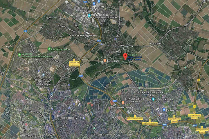 Das Tier hatte ein Unbekannter an einer Parkpark im Nordpark in Frankfurt-Bonames festgebunden.