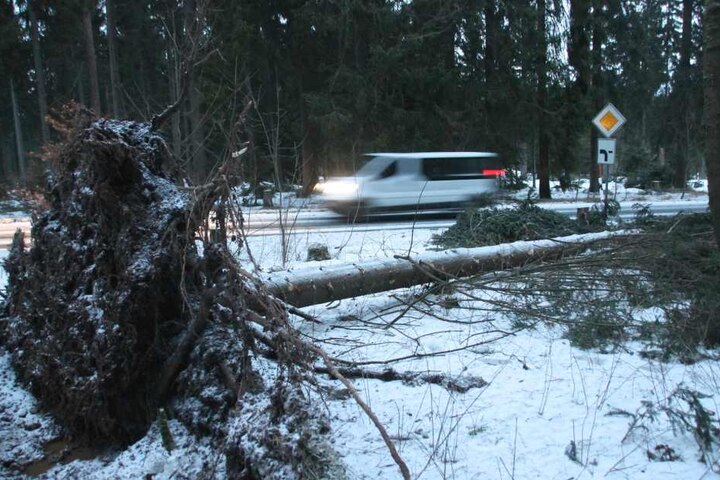 Neben vielen umgeknickten Bäumen gab es im Erzgebirge auch noch etwas Neuschnee.