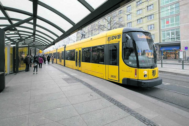 Bis zum Pirnaischen Platz zog sich die Blutspur des Killers.