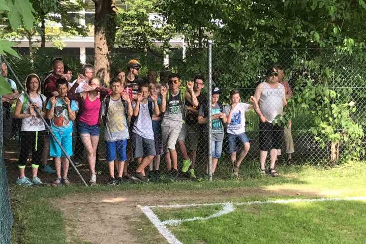 Am Zaun die Kiebitze.