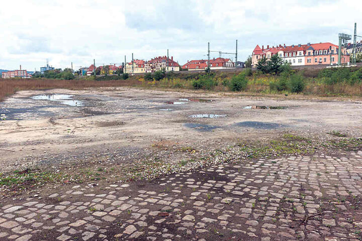 Als Alternative schlägt die SPD-Fraktion ein Gelände an der Harkortstraße
vor. Hier will sie eine neue Schwimmhalle für Pieschen bauen.