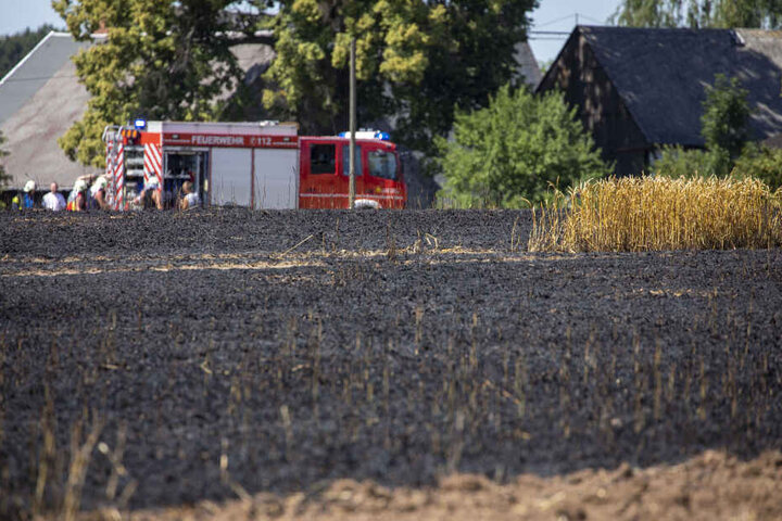 Etwa 3000 Quadratmeter Feld sind bei Frankenberg abgebrannt.
