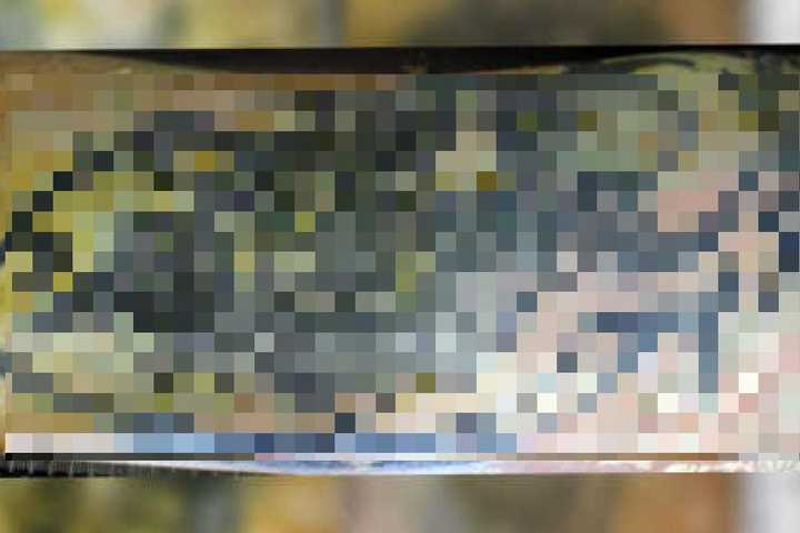 Diese Tätowierung fanden die Ermittler auf dem linken Oberarm.