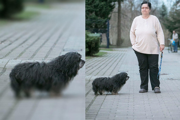 Noch immer macht sich Gertraud Jasiczek Sorgen um sich und Hündchen Teddy (11).